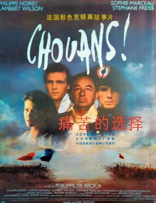 痛苦的选择.webp.jpg