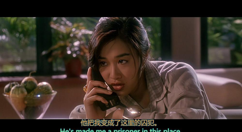 中南海保镖.The.Defender.1994.1080p.HEVC.Main10.DD2.0-DIY.mkv_20221004_211321.588.jpg