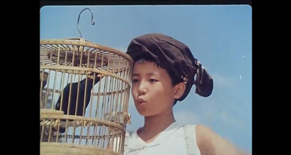 心泉.mp4_1666772973800.png
