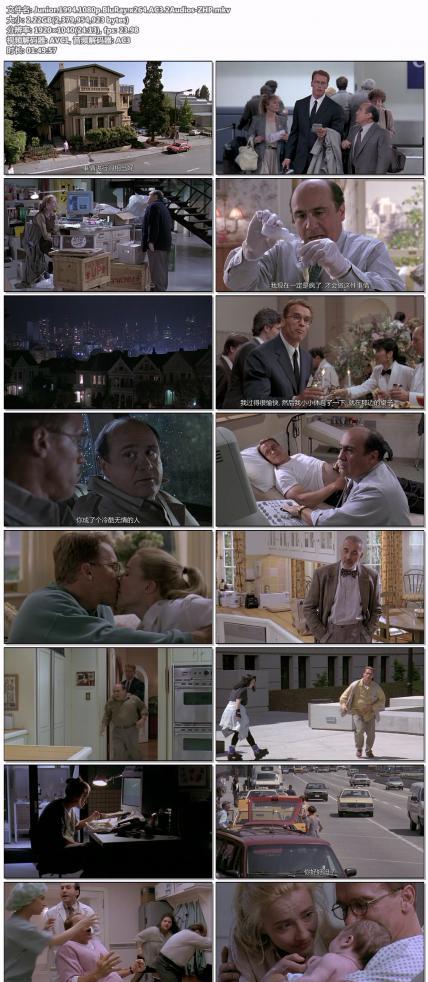 Junior.1994.1080p.BluRay.x264.AC3.2Audios-ZHP.jpg
