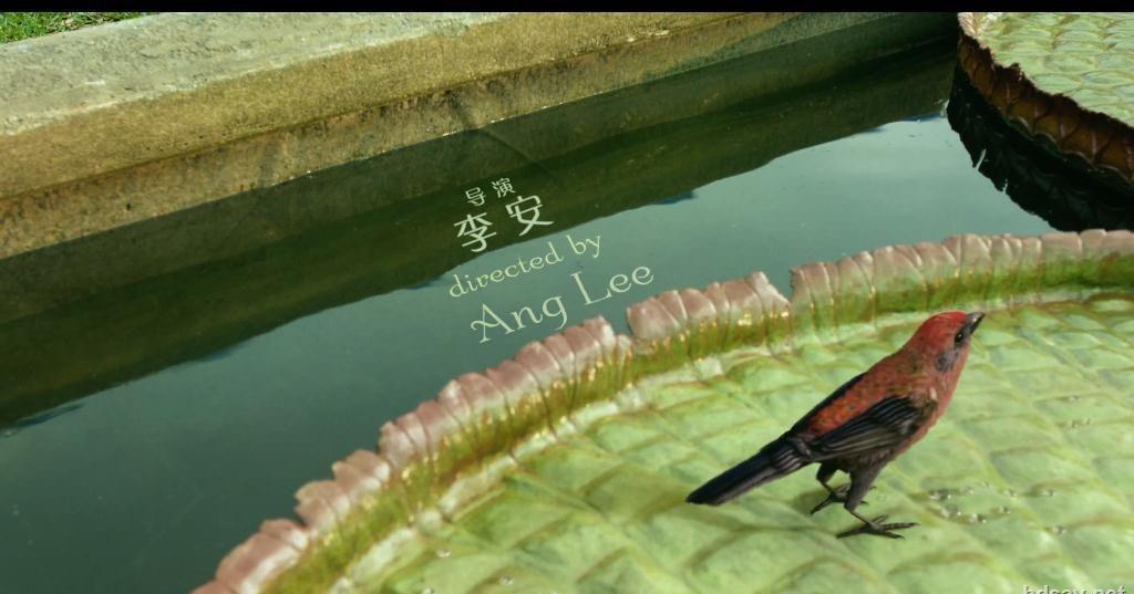 b1d0c7b3c1764d1c8fe11e8ad102f8c7.jpg