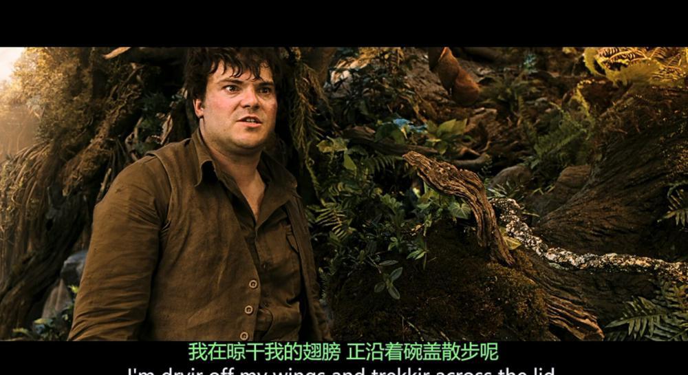 金刚.King.Kong.2005.EXTENDED.2160p.BluRay.Main10.SDR.DTS-X.7.1-DIY.mkv_20221126_204626.jpg