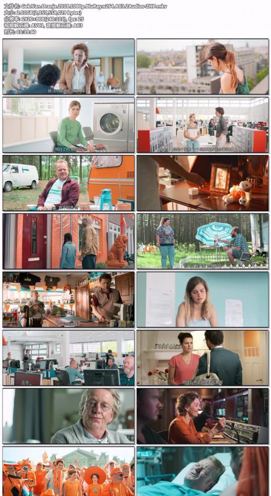 Gek.Van.Oranje.2018.1080p.BluRay.x264.AC3.2Audios-ZHP.jpg