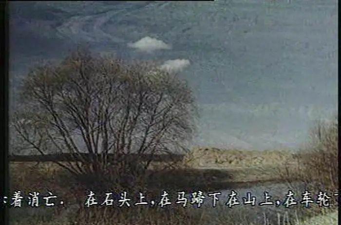 p2184840482.webp.jpg