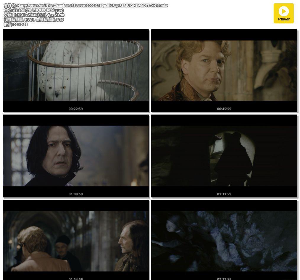 Harry.Potter.And.The.Chamber.of.Secrets.2002.2160p.BluRay.REMUX.HEVC.DTS-X.7.1.mkv.jpg