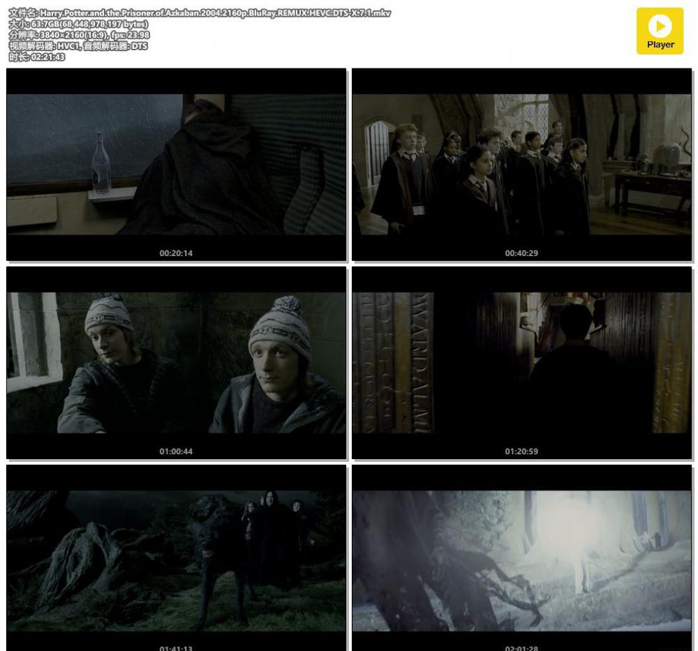 Harry.Potter.and.the.Prisoner.of.Azkaban.2004.2160p.BluRay.REMUX.HEVC.DTS-X.7.1.mkv.jpg