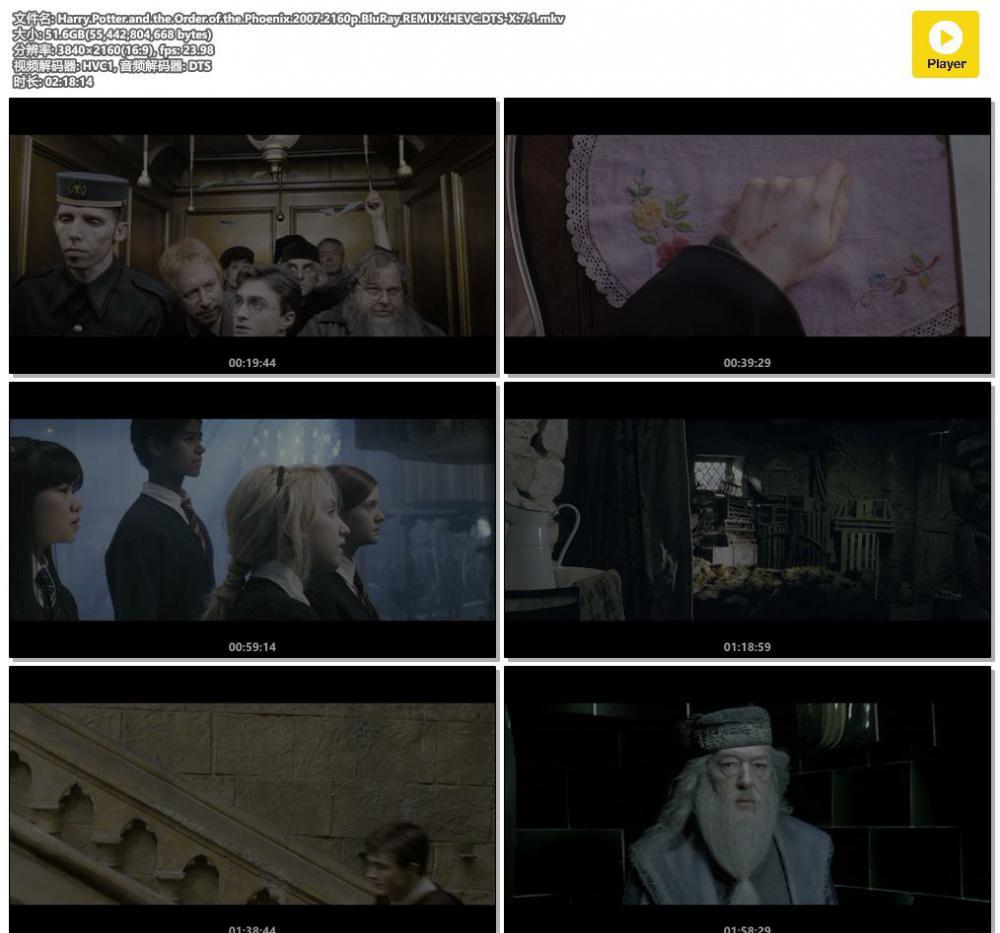 Harry.Potter.and.the.Order.of.the.Phoenix.2007.2160p.BluRay.REMUX.HEVC.DTS-X.7.1.mkv.jpg