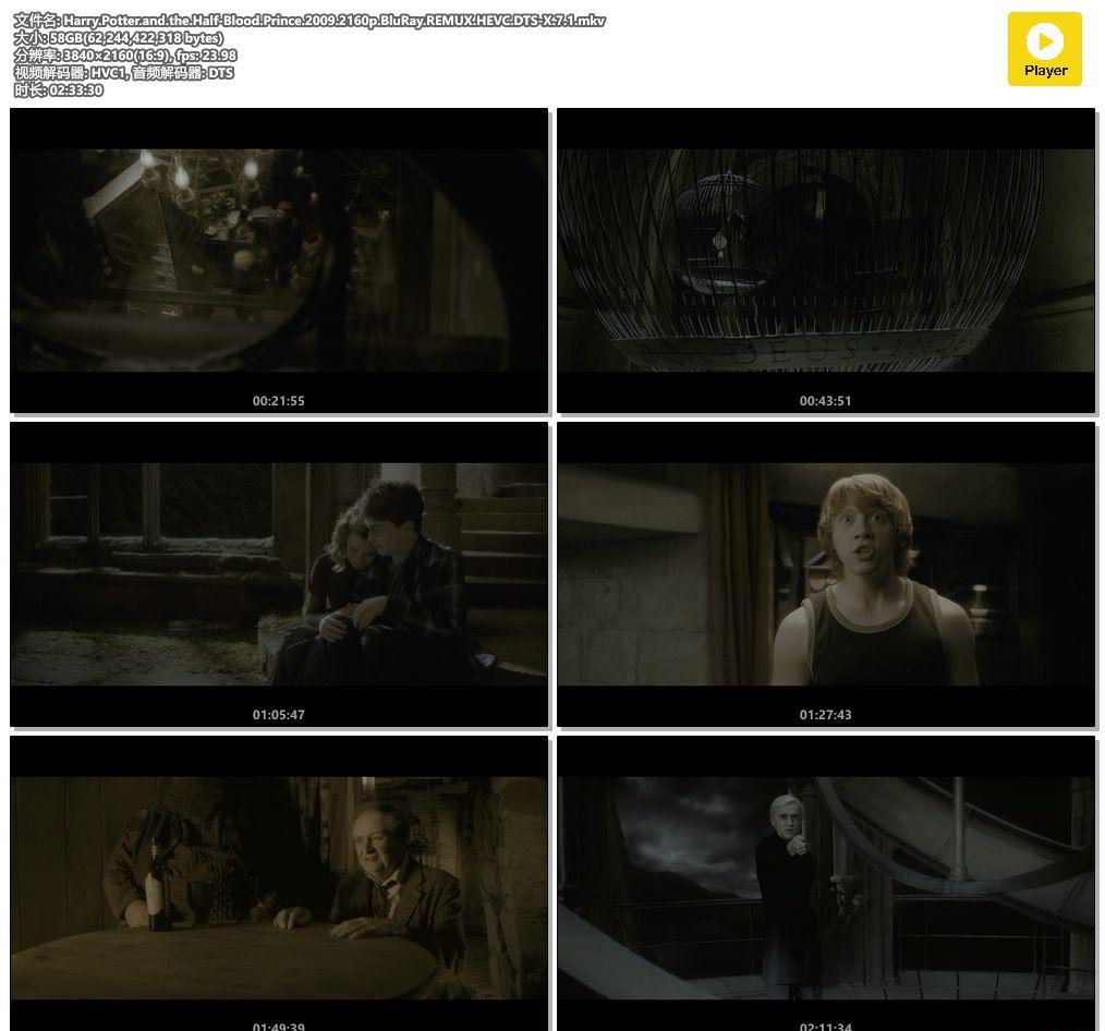 Harry.Potter.and.the.Half-Blood.Prince.2009.2160p.BluRay.REMUX.HEVC.DTS-X.7.1.mkv.jpg