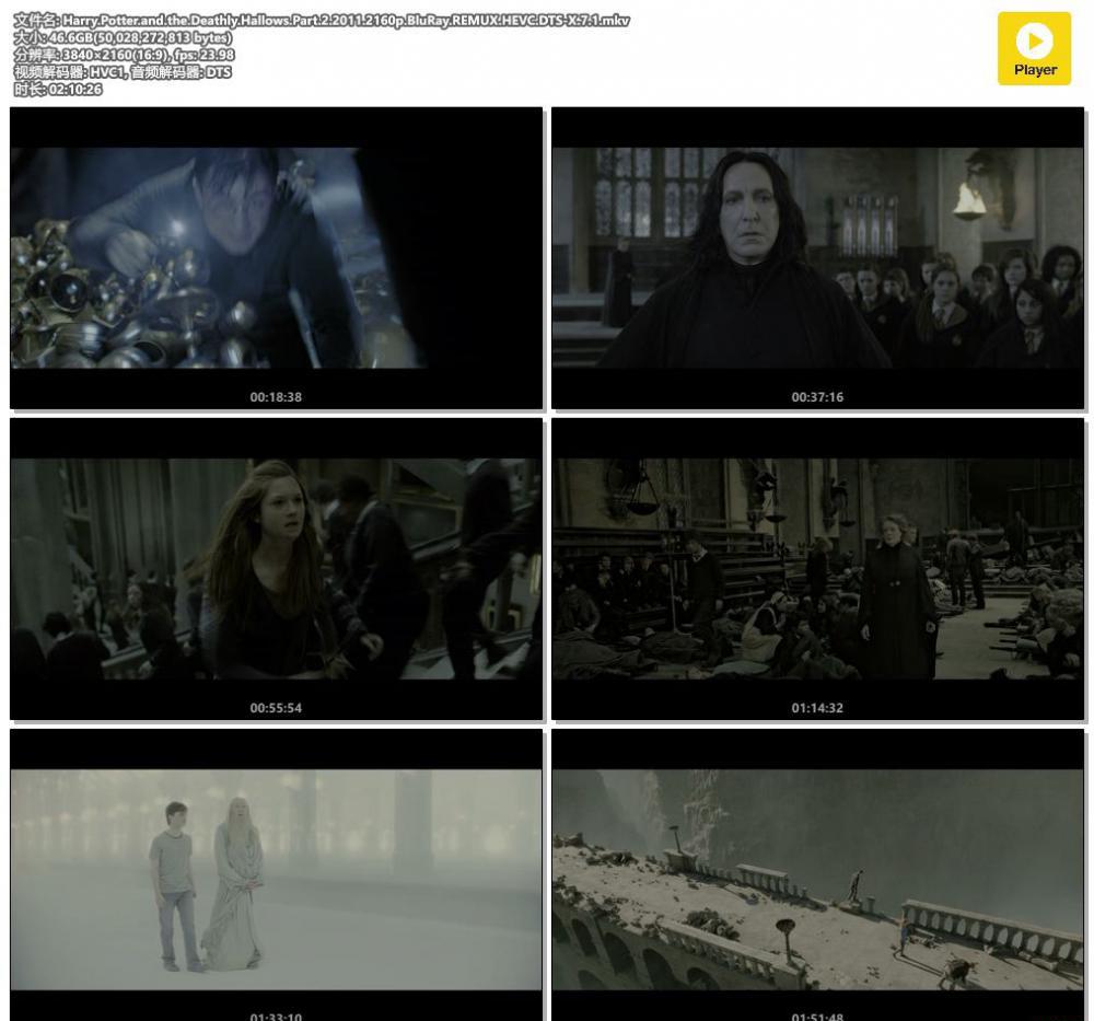 Harry.Potter.and.the.Deathly.Hallows.Part.2.2011.2160p.BluRay.REMUX.HEVC.DTS-X.7.1.mkv.jpg