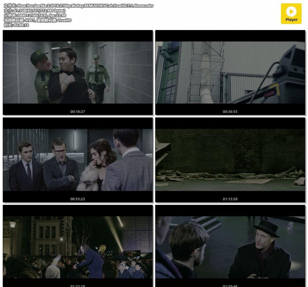 Now.You.See.Me.2.2016.2160p.BluRay.REMUX.HEVC.zh.TrueHD.7.1.Atmos.mkv.jpg