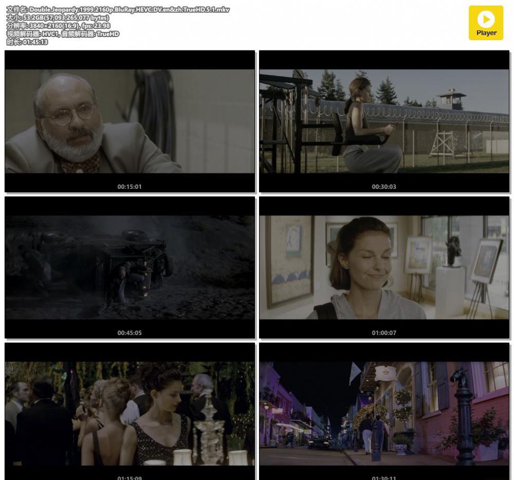 Double.Jeopardy.1999.2160p.BluRay.HEVC.DV.en&amp;zh.TrueHD.5.1.mkv.jpg