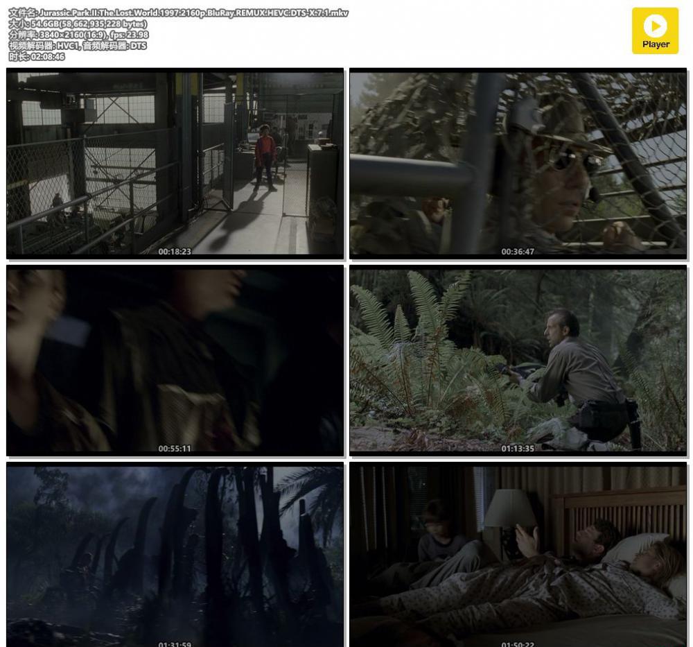 Jurassic.Park.II.The.Lost.World.1997.2160p.BluRay.REMUX.HEVC.DTS-X.7.1.mkv.jpg