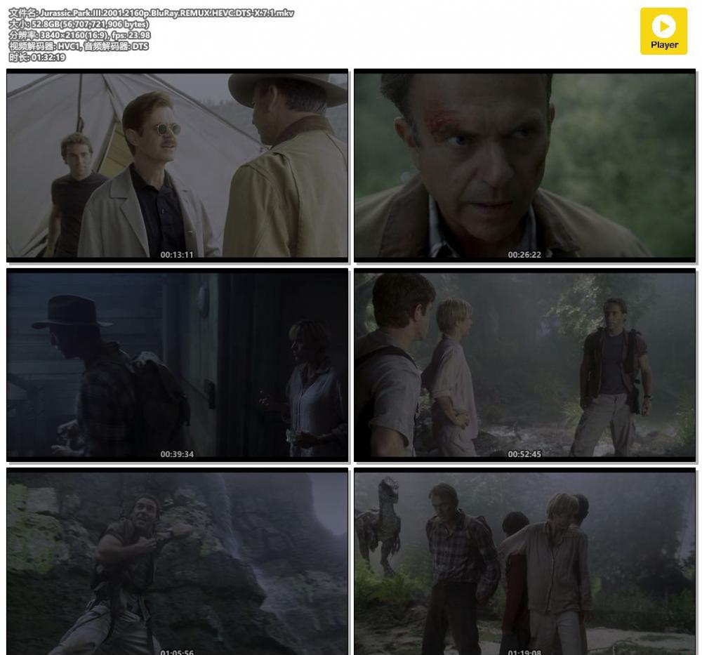Jurassic.Park.III.2001.2160p.BluRay.REMUX.HEVC.DTS-X.7.1.mkv.jpg