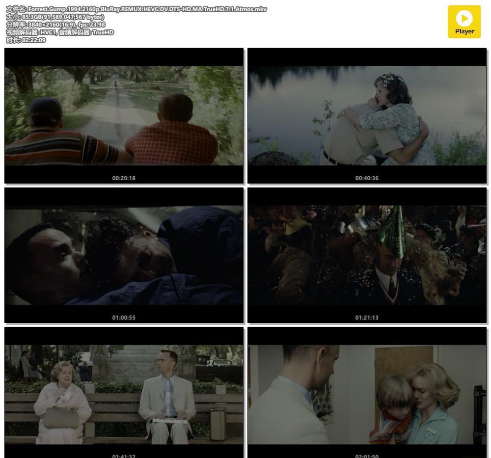Forrest.Gump.1994.2160p.BluRay.REMUX.HEVC.DV.DTS-HD.MA.TrueHD.7.1.Atmos.mkv.jpg