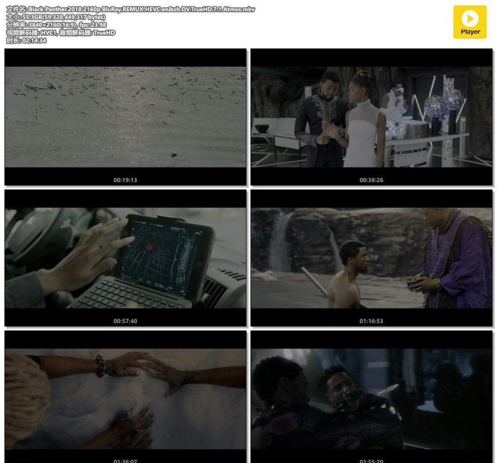 Black.Panther.2018.2160p.BluRay.REMUX.HEVC.en&amp;zh.DV.TrueHD.7.1.Atmos.mkv.jpg