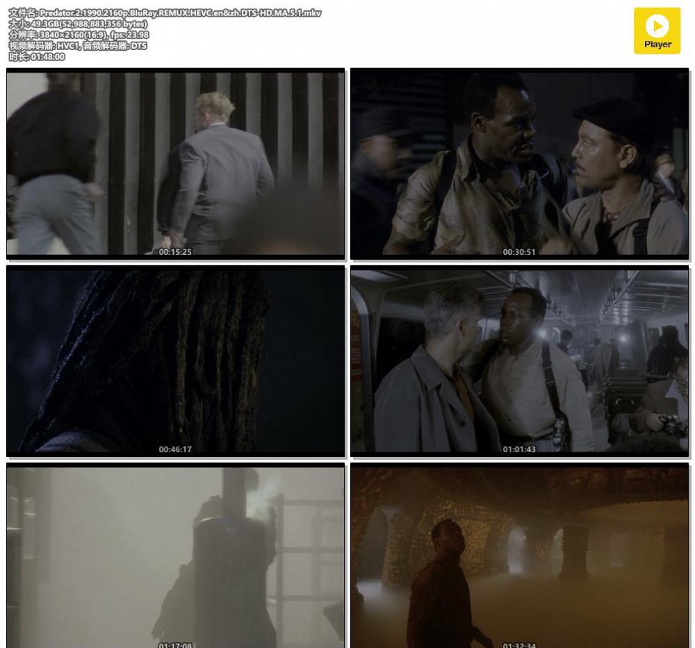 Predator.2.1990.2160p.BluRay.REMUX.HEVC.en&amp;zh.DTS-HD.MA.5.1.mkv.jpg