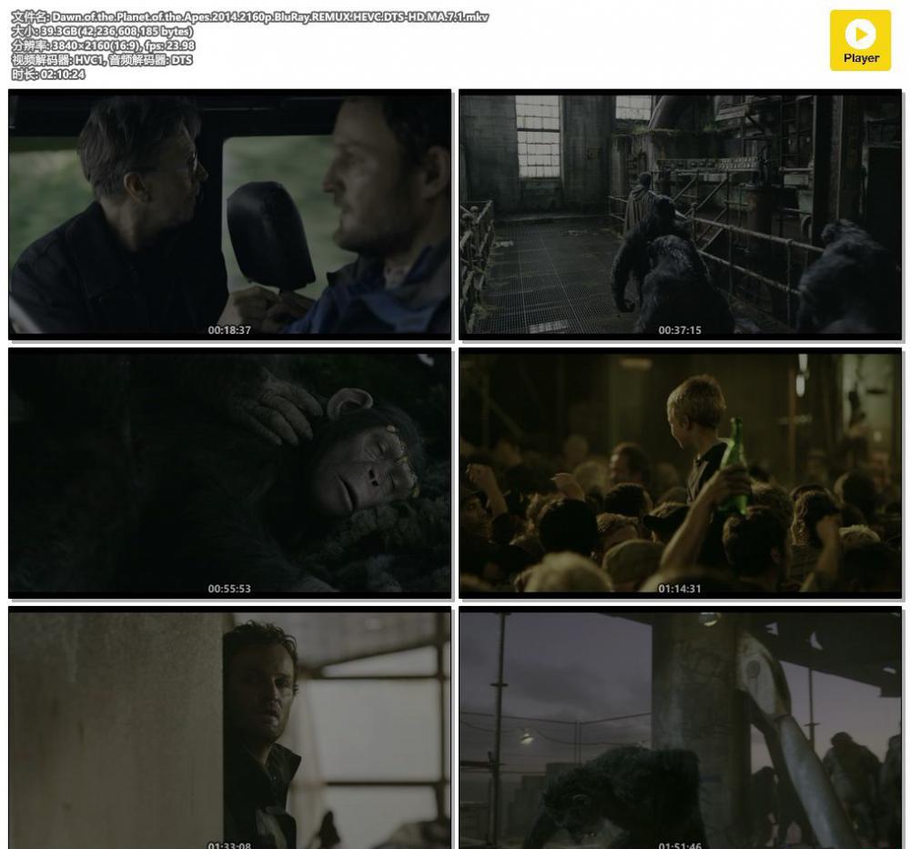 Dawn.of.the.Planet.of.the.Apes.2014.2160p.BluRay.REMUX.HEVC.DTS-HD.MA.7.1.mkv.jpg