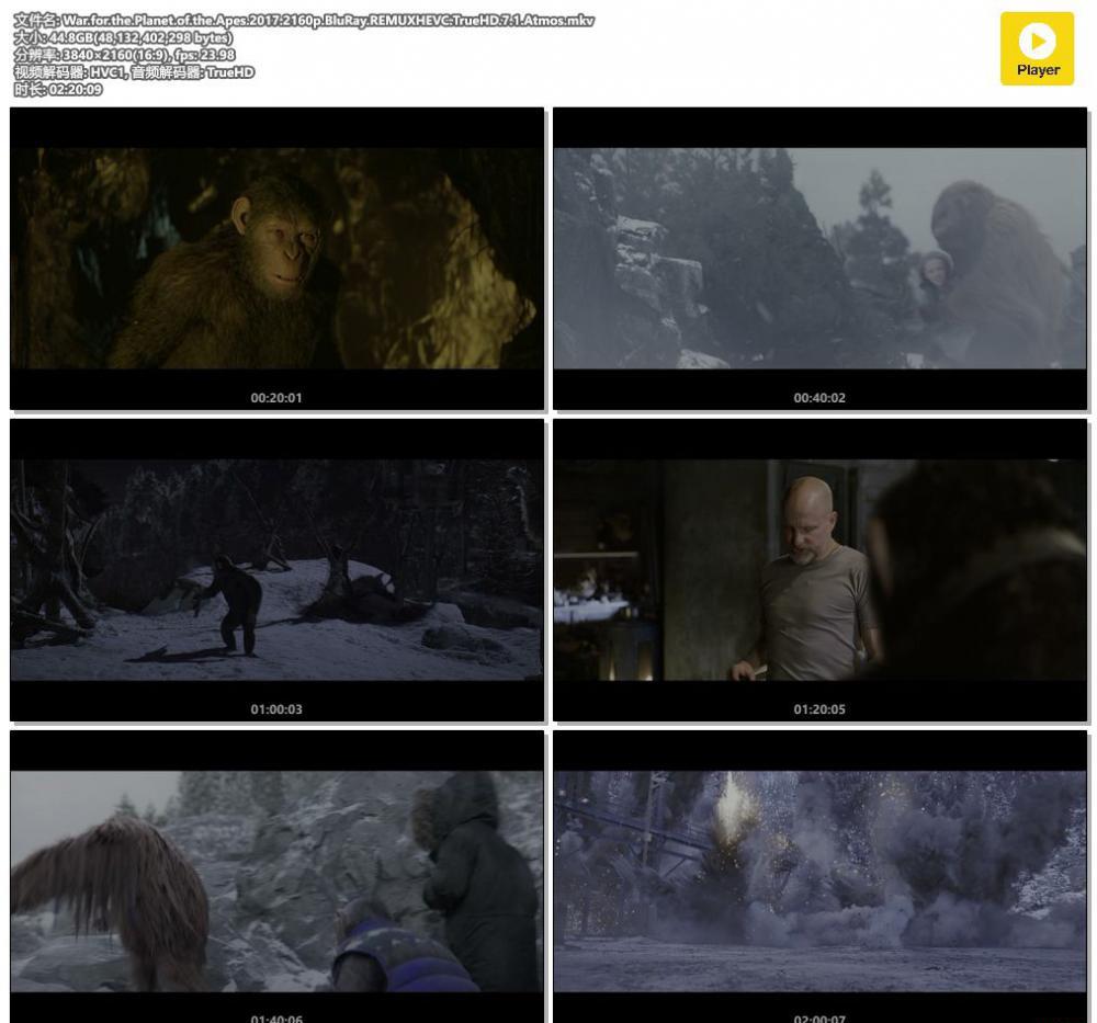 War.for.the.Planet.of.the.Apes.2017.2160p.BluRay.REMUXHEVC.TrueHD.7.1.Atmos.mkv.jpg