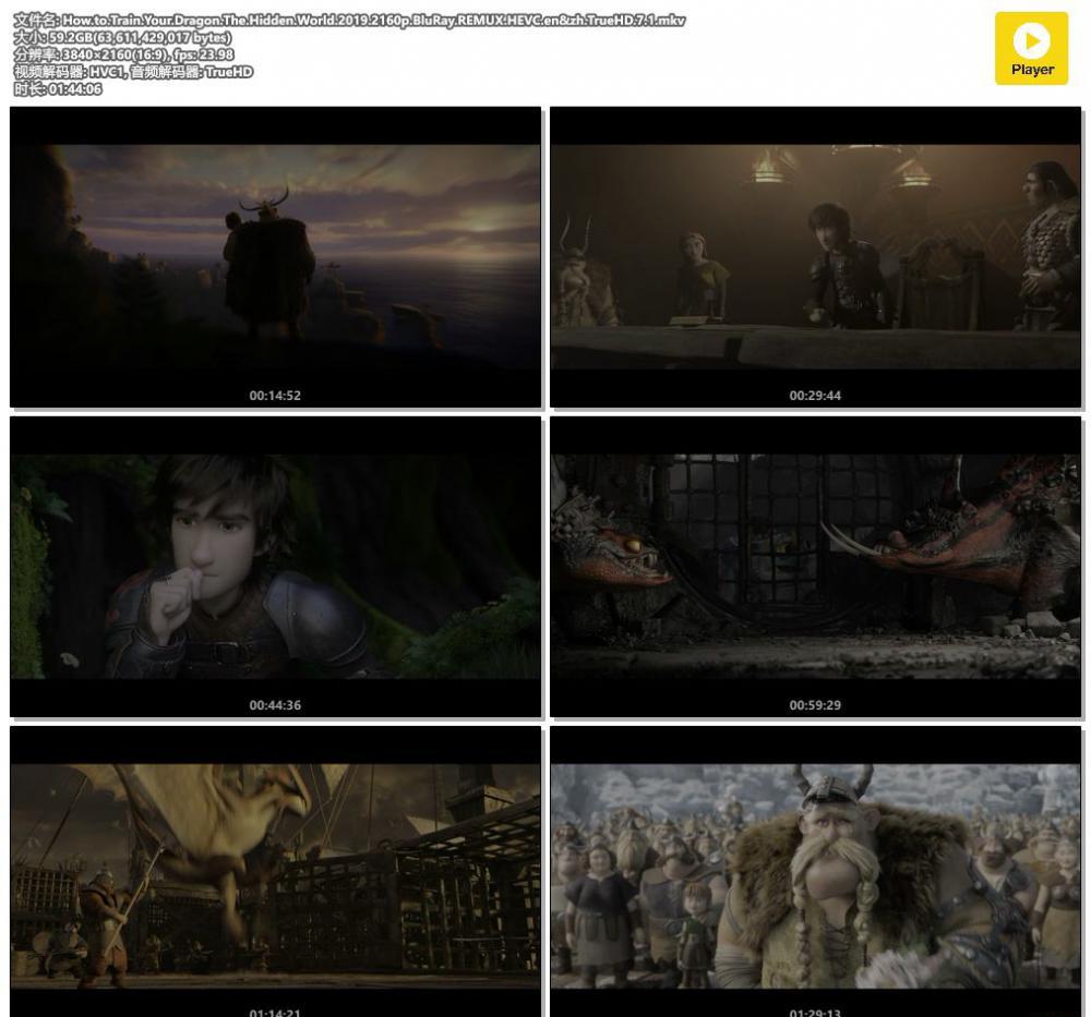 How.to.Train.Your.Dragon.The.Hidden.World.2019.2160p.BluRay.REMUX.HEVC.en&amp;zh.TrueHD..jpg