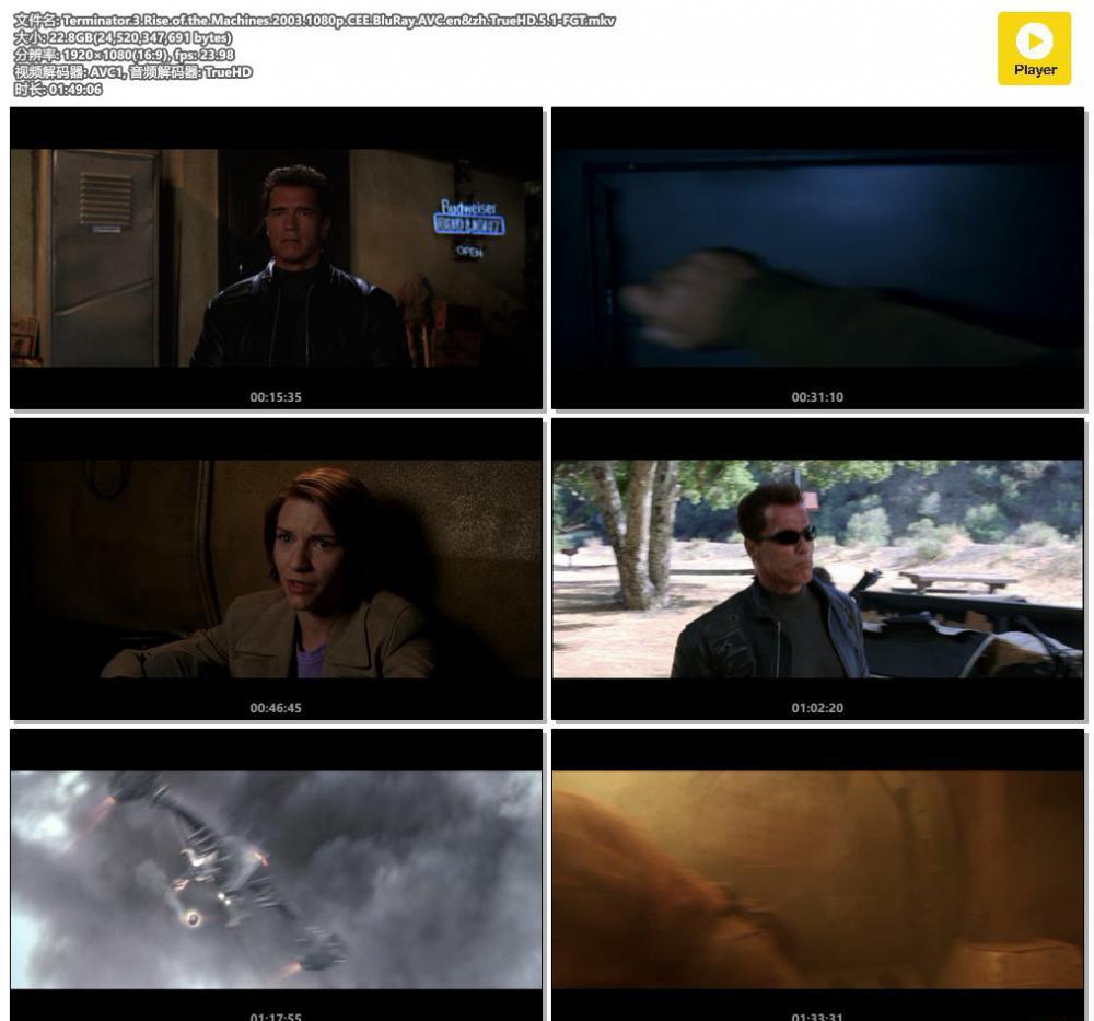 Terminator.3.Rise.of.the.Machines.2003.1080p.CEE.BluRay.AVC.en&amp;zh.TrueHD.5.1-FGT.mkv.jpg
