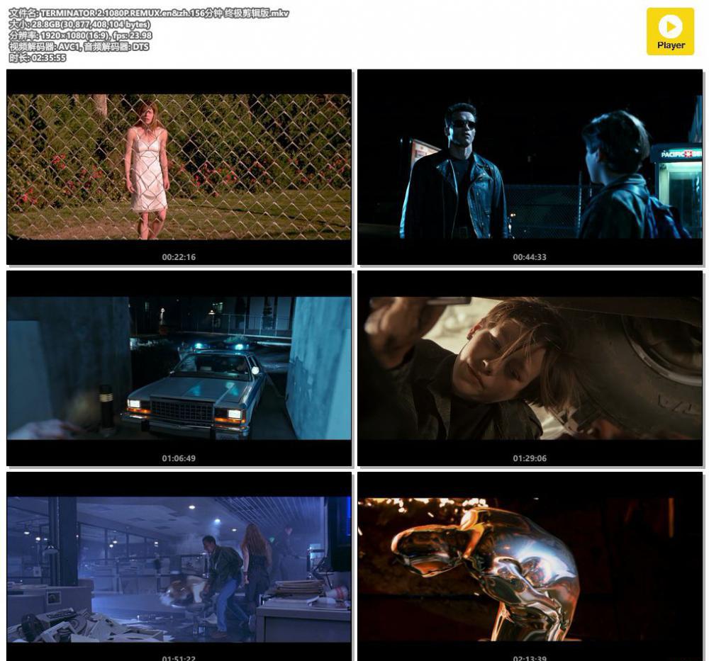 TERMINATOR 2.1080P.REMUX.en&amp;zh.156分钟 终极剪辑版.mkv.jpg