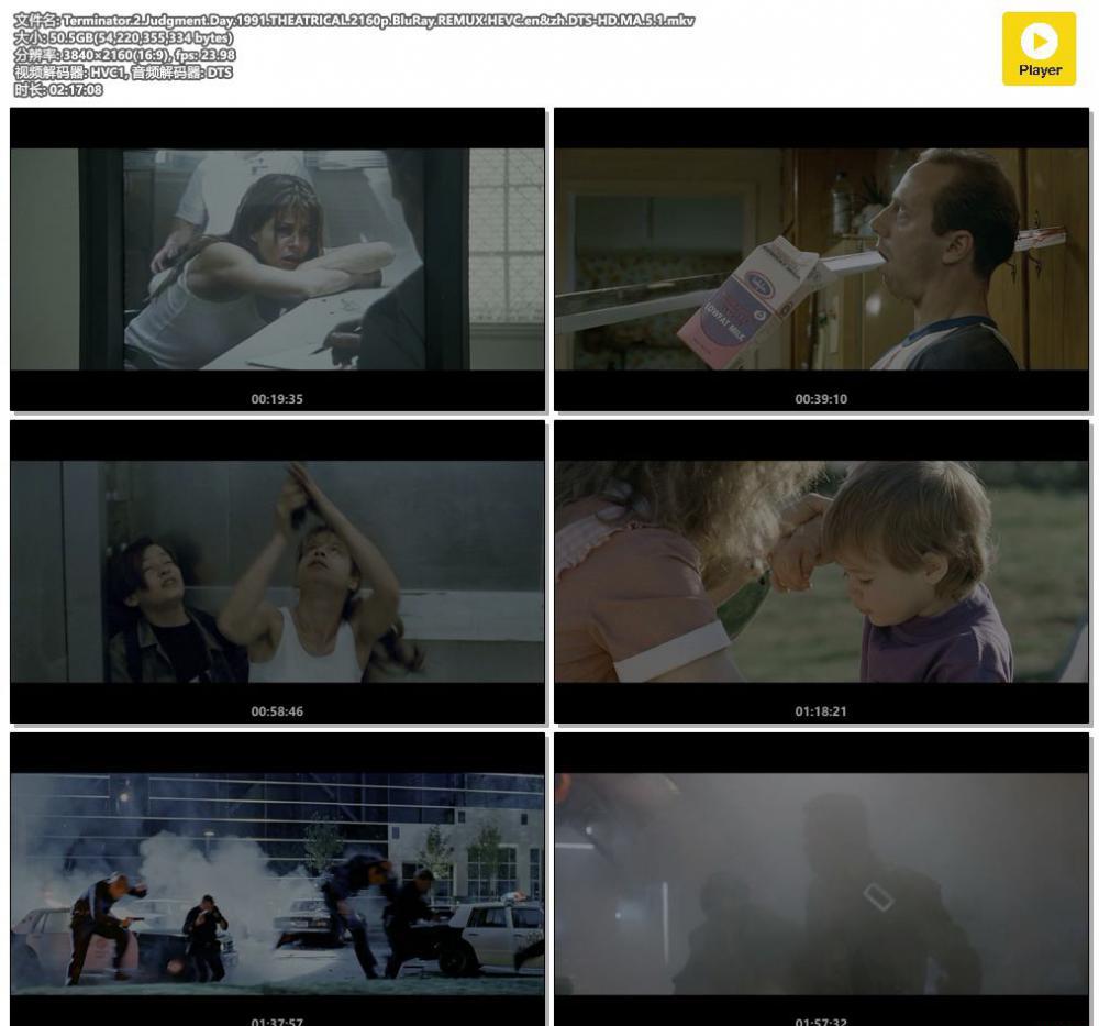 Terminator.2.Judgment.Day.1991.THEATRICAL.2160p.BluRay.REMUX.HEVC.en&amp;zh.DTS-HD.MA.5..jpg