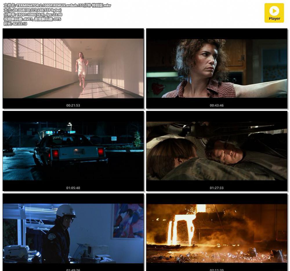 TERMINATOR 2.1080P.REMUX.en&amp;zh.153分钟 特别版.mkv.jpg