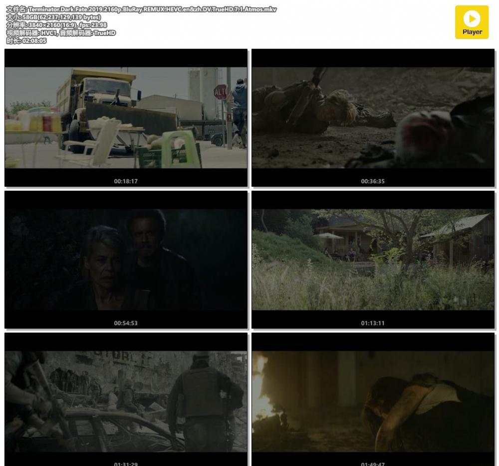 Terminator.Dark.Fate.2019.2160p.BluRay.REMUX.HEVC.en&amp;zh.DV.TrueHD.7.1.Atmos.mkv.jpg