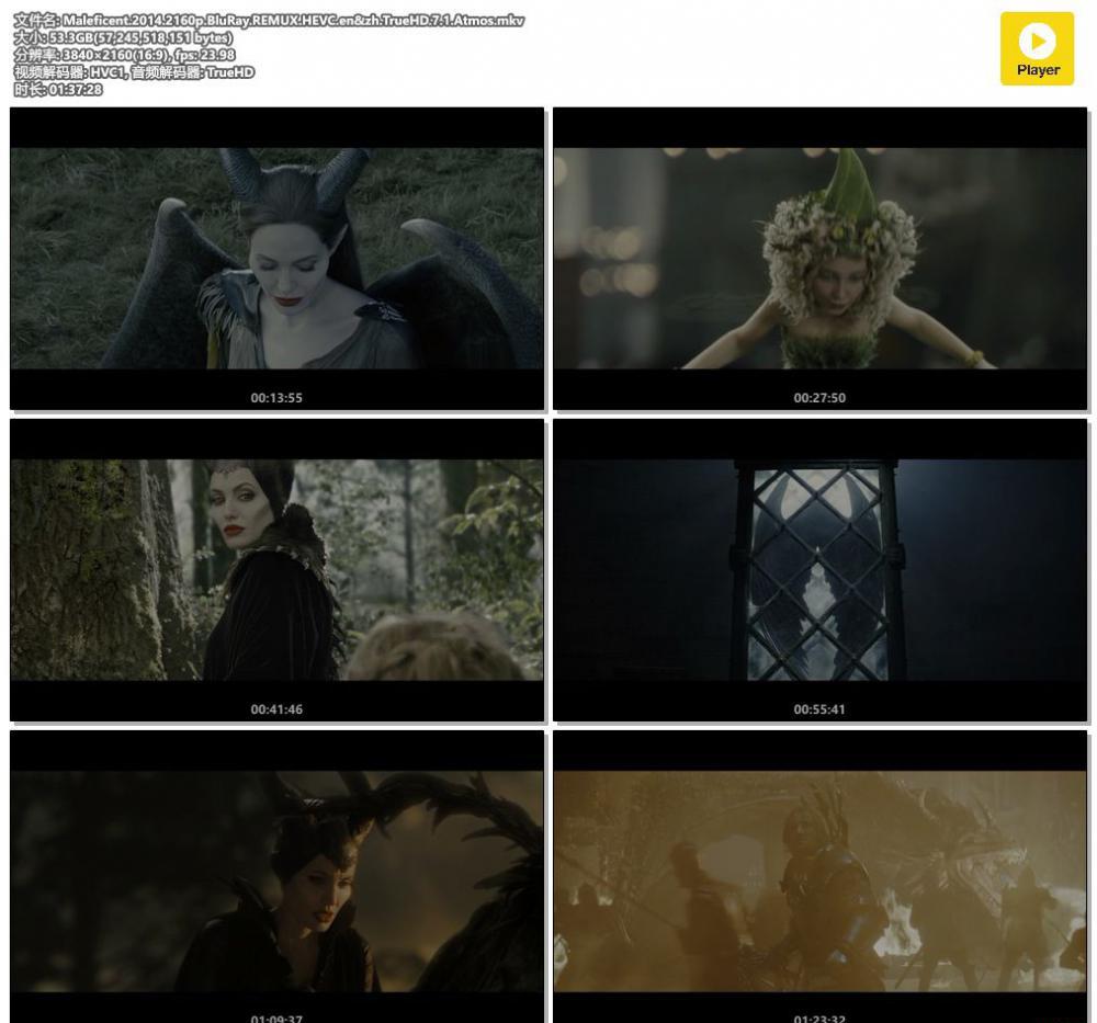 Maleficent.2014.2160p.BluRay.REMUX.HEVC.en&amp;zh.TrueHD.7.1.Atmos.mkv.jpg