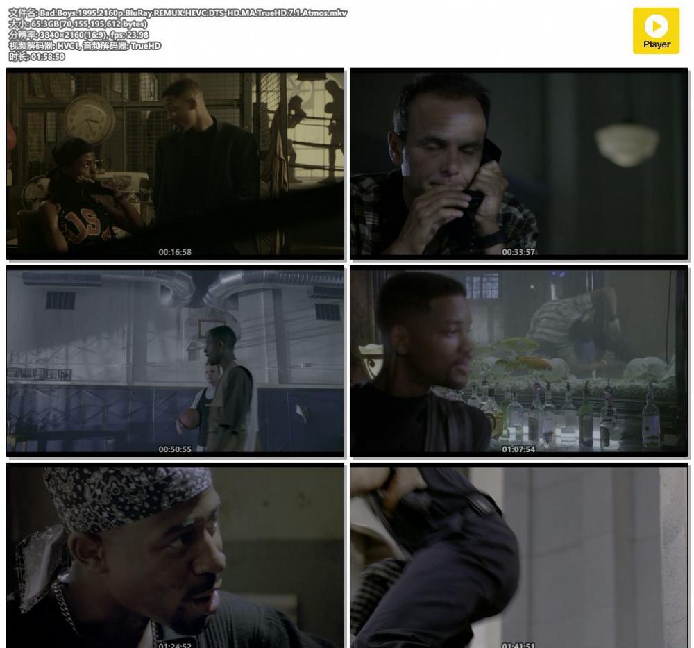 Bad.Boys.1995.2160p.BluRay.REMUX.HEVC.DTS-HD.MA.TrueHD.7.1.Atmos.mkv.jpg